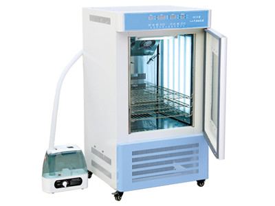 云南人工气候培养箱RGX系列