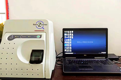 云南全景数字白光扫描