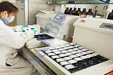 云南石蜡包埋服务