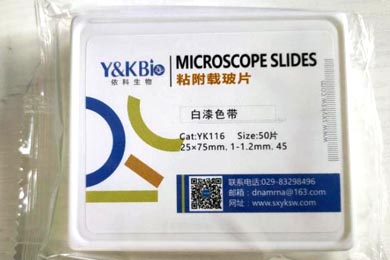 云南粘附载玻片