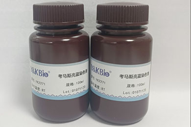 云南考马斯亮蓝染色试剂盒