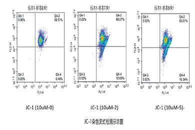 云南流式-JC-1