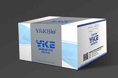 云南RIPA裂解液（强）