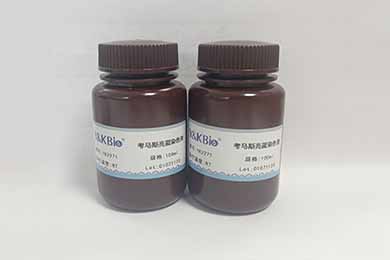 云南考马斯亮蓝染色液