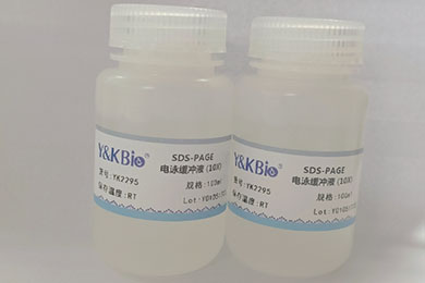 云南10×SDS-PAGE电泳缓冲液