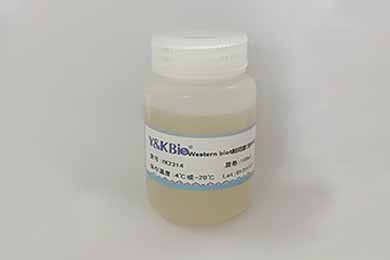 云南Western膜再生液