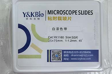 云南粘附载玻片